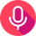 Voice Search Optimization